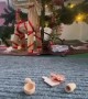 Mouse caught on camera stealing Christmas food