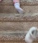 Baby's Creative Stair Method