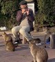 Giving the Cats a Concert