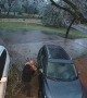 Ice Storm in Austin Causes Tree Branches to Fall (Close Call)