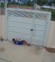Boy Sneakily Squeezes Under Gate