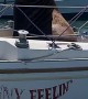 Pirate Sea Lion Steals Ship