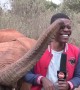 Baby elephant hilariously trolls reporter 