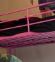 Girl Jumps Off Bunk Bed