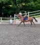 Horse Decides He Doesn't Want to Do That Jump