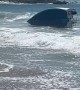 Sailboat Hit by Waves in Dana Point, CA