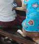 Dog Asks for Attention From Seamstress