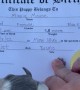 Puppy's Official Birth Certificate