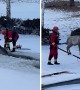 Hero firefighters rescue big elk from icy pond