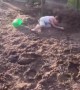 Little Boy Falls Off of a Donkey