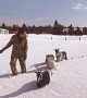 Grooming a Trail for the Goats