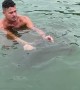 Octopus Hitches a Ride on Swimmer
