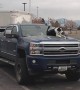 Border Collie Hangs Out on Hood of Pickup