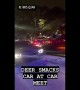 Deer causes chaos at car meet by smacking into vehicle