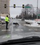 Traffic Stopped for Dog Sledding Race