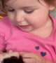 Little Girl Reacts to Holding Tiny Puppy
