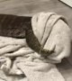 Monitor Lizard Wrestles With Towel