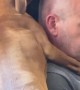 Puppy Cleans Bald Head
