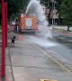 Firehouse Doggie Cooling Off
