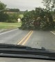 Truck Drags an Entire Tree Down the Road
