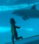 Little Girl Races Dolphin at the Aquarium