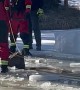 Rescue Crew Pulls Elk From Icy Pond