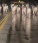 Deer Herd Slows Traffic