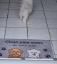 Always Wipe Your Paws