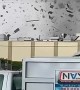 Tornado Blows Through Buildings