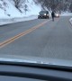 Family Reacts to a Close Encounter With a Moose