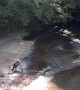 Woman Rides Down Waterfall and Hits People Sitting Below