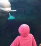 Beluga Is Just Another Playful Child