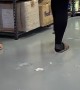 Wet Floor Paint