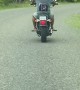 Chicken Rides a Motorcycle