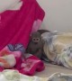 Mother Finds a Monkey in Her Son's Bed