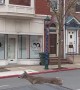 Deer Breaks Through Tattoo Shop's Window