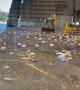 Birds Flock to Garbage Dump