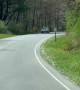 Mama Bear Crosses Road With Tiny Cubs