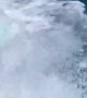 Wave Knocks Tourists Off Rocks in Hawaii