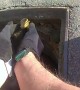 Police officers rescue ducklings from sewer grate