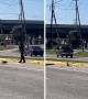 Police officer helps mama duck and her ducklings across the street