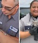 Police rescue kitten wandering Las Vegas highway