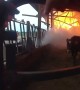 Police Officer rescues three cows trapped in barn fire