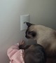 Oliver Protects Ayla From Outlet