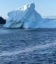 Iceberg In Goodyears Cove