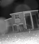 Raccoon Scared From Chicken Coop by Security Camera