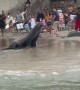 Sea Lions Don't Like Tourists