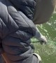 Rescuing a Bird Caught in a Fishing Net