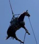 Firefighters Rescue Elderly Horse With a Helicopter