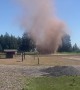 Dust Tornado In Washington Pumpkin Patch